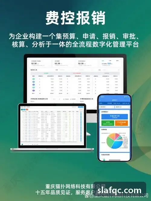 偿二代二期监管下保险集团数据治理与资本计量实践